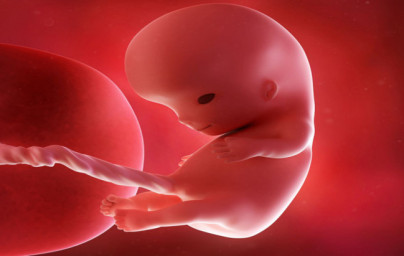 10. týždeň tehotenstva 10. týždeň tehotenstva